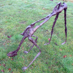 Artists/Images/ResizedSquare150/peter bergenhenegouwen_image_grote grazer.jpg